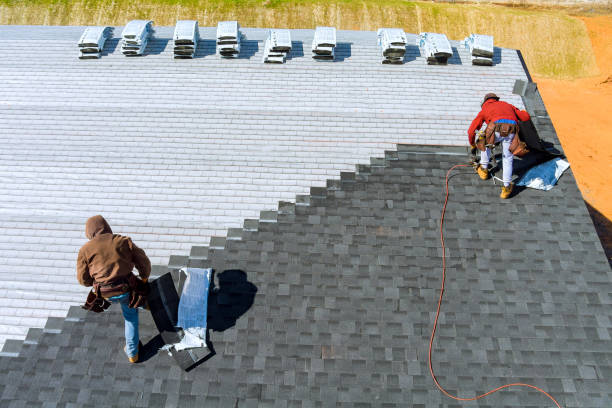 Best Roof Gutter Cleaning  in New Market, VA