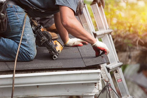 Roof Gutter Cleaning in New Market, VA
